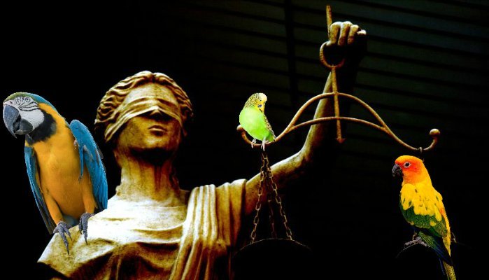 statue of justice with parrots perching
